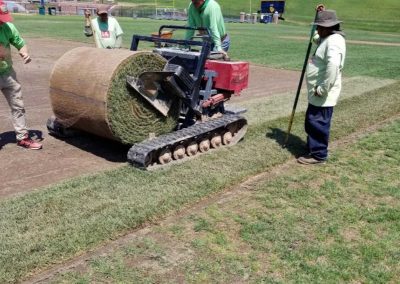 KCGrounds athletic fields Bermudagrass Conversions turf