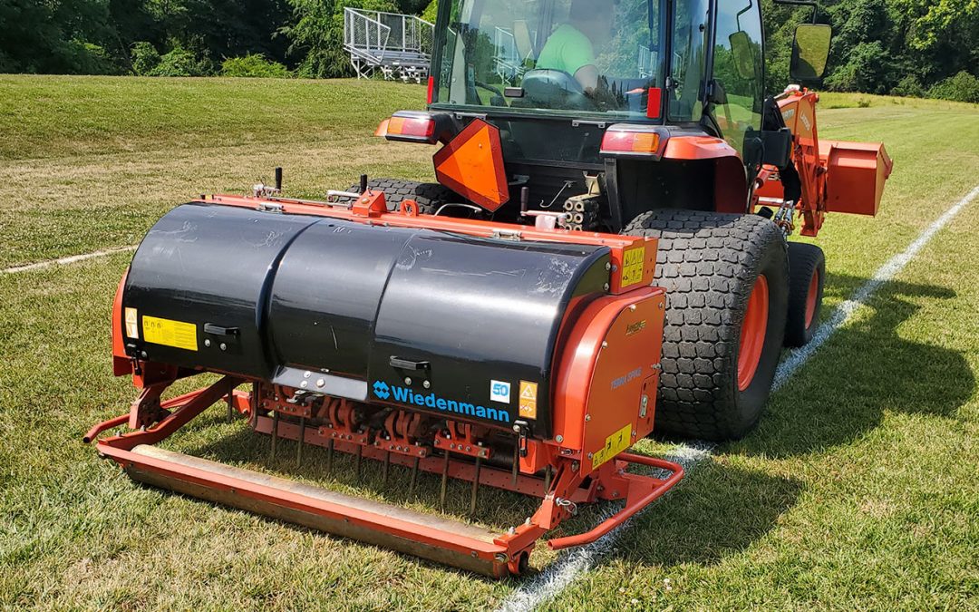 Solid Tining & Deep Tining